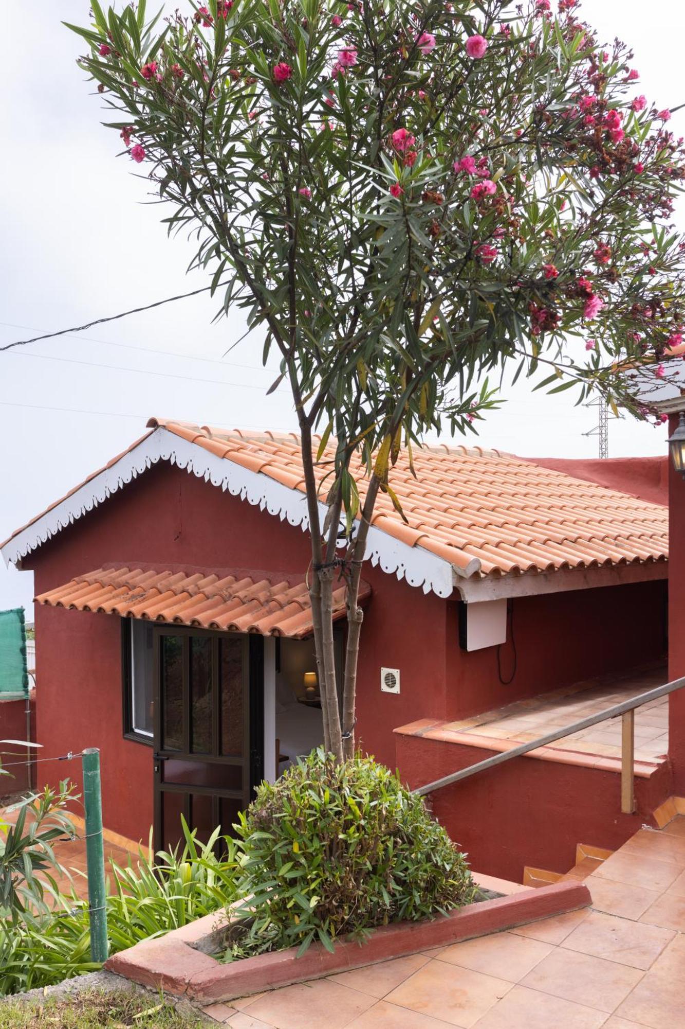 Icod el Alto Home2Book Serene Retreat Isabel, Jacuzzi & Garden מראה חיצוני תמונה