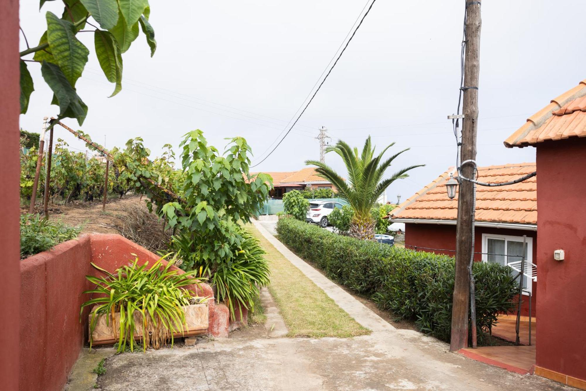 Icod el Alto Home2Book Serene Retreat Isabel, Jacuzzi & Garden מראה חיצוני תמונה